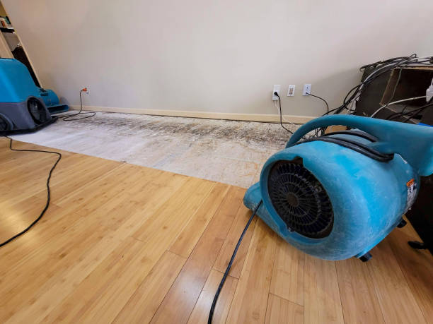 Professional Emergency Water Damage technician working in Spokane, WA